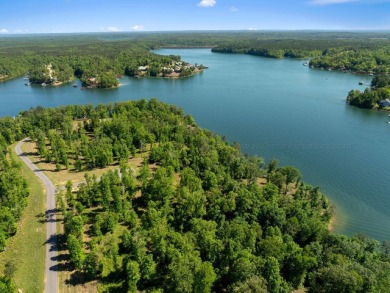 Located on the main channel near the dam at the mouth of Ryan - photo 13