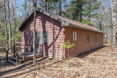 Exquisitely renovated, south-facing chalet-style lakefront - photo 30