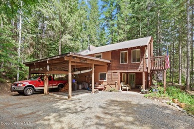 Just Bring Your Swimsuit! Priest Lake Forest Retreat with a - photo 31