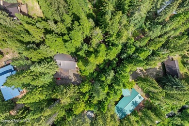 Just Bring Your Swimsuit! Priest Lake Forest Retreat with a - photo 33
