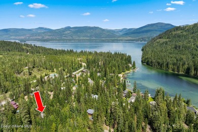 Just Bring Your Swimsuit! Priest Lake Forest Retreat with a - photo 35
