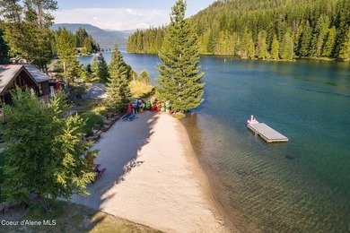 Just Bring Your Swimsuit! Priest Lake Forest Retreat with a - photo 37