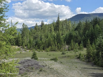 An exceptional 80 acres that adjoins USFS Forest Land, and - photo 4
