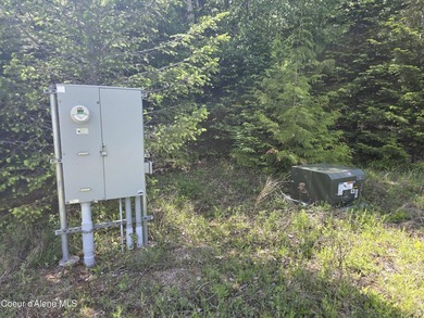 An exceptional 80 acres that adjoins USFS Forest Land, and - photo 6