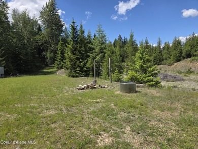 An exceptional 80 acres that adjoins USFS Forest Land, and - photo 8