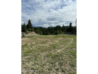 An exceptional 80 acres that adjoins USFS Forest Land, and - photo 10