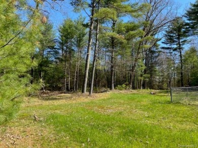5.10 Acres with Private Pond - Well and Septic - photo 4