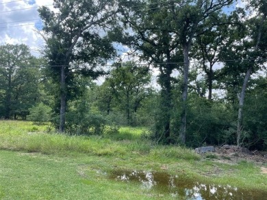 Escape to nature with this beautiful wooded lake lot on Lake - Lake Lot For Sale in Thornton, Texas