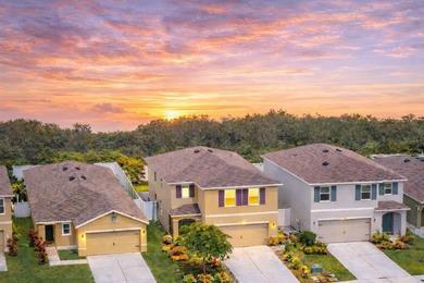 Welcome to 5206 Willow Breeze Way, a modern two-story home in - photo 1