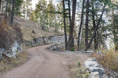 Rare opportunity on Flathead Lake's White Swan Point - photo 7