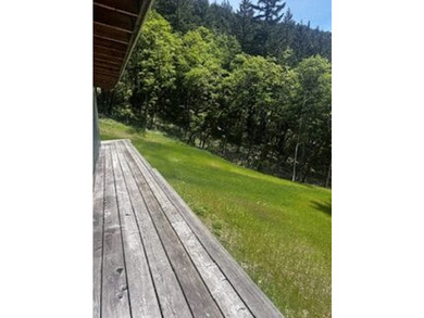 Escape to your own sanctuary on 330 acres of timberland (4.5MBF - photo 25