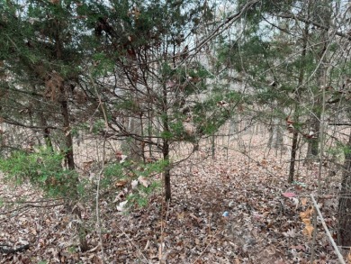 Lake Area Lots Near Twin Coves - photo 5