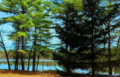5.10 Acres with Private Pond - Well and Septic - photo 3