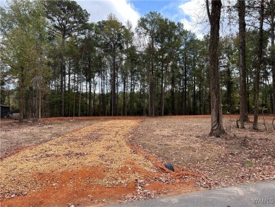Aliceville  Lake Lot For Sale in Pickensville Alabama