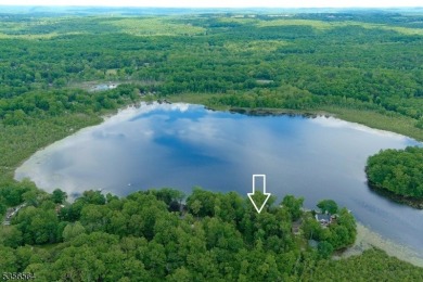 Lake Lot For Sale in Hampton Twp., New Jersey