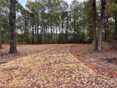 Aliceville  Lake Lot For Sale in Pickensville Alabama