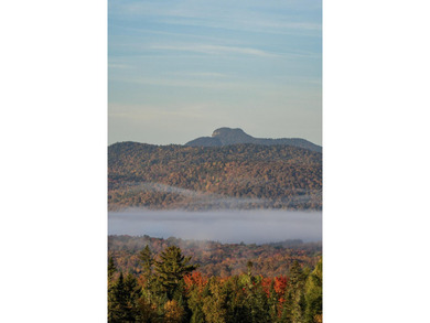Welcome to 387 Chamberlain Road where the breathtaking views are - photo 22