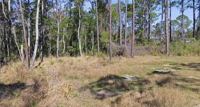 Take a look at this 1/2-acre lot just 2 minutes from the Keaton - photo 22