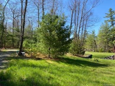 5.10 Acres with Private Pond - Well and Septic - photo 6