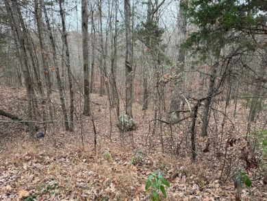 Lake Area Lots Near Twin Coves - photo 6