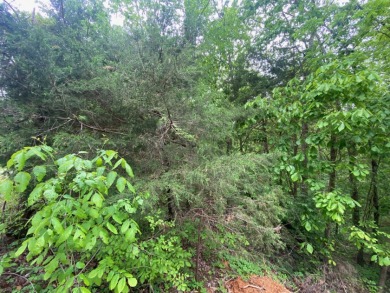 Nolin Lake Lot For Sale in Clarkson Kentucky