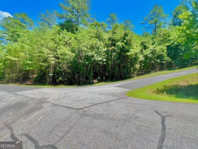 Lake Acreage For Sale in Young Harris, Georgia