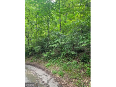 Lake Chatuge Lot For Sale in Hayesville North Carolina