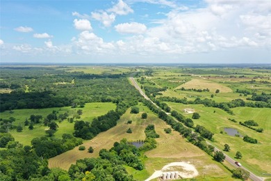 Approx. 18 acres near Donie with lots of road frontage on Hwy - photo 11