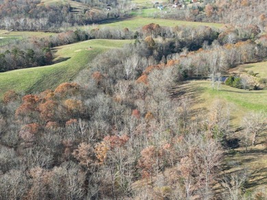Beautiful rolling farm. This land has it all with its rolling - photo 11