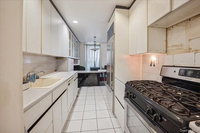 Charming 2-bedroom, 1-bathroom co-op apartment with breathtaking - photo 12