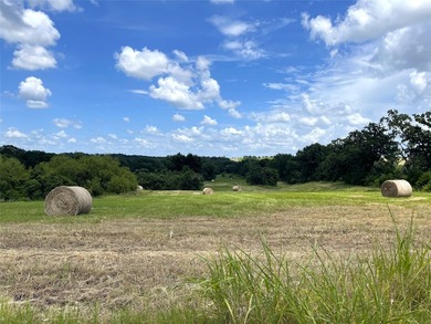 Approx. 18 acres near Donie with lots of road frontage on Hwy - photo 12