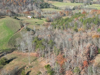 Beautiful rolling farm. This land has it all with its rolling - photo 12