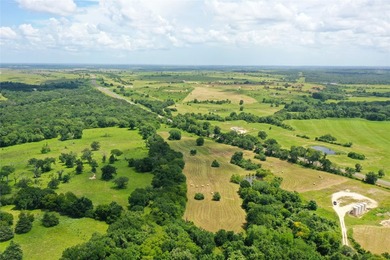 Approx. 18 acres near Donie with lots of road frontage on Hwy - photo 13