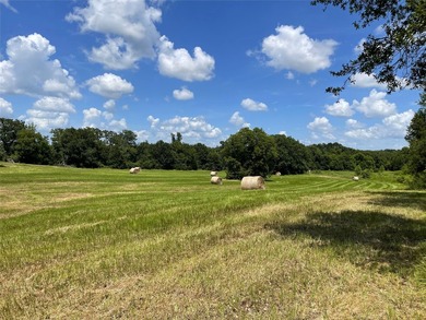 Approx. 18 acres near Donie with lots of road frontage on Hwy - photo 14