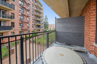 Charming 2-bedroom, 1-bathroom co-op apartment with breathtaking - photo 15