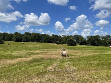 Approx. 18 acres near Donie with lots of road frontage on Hwy - photo 15