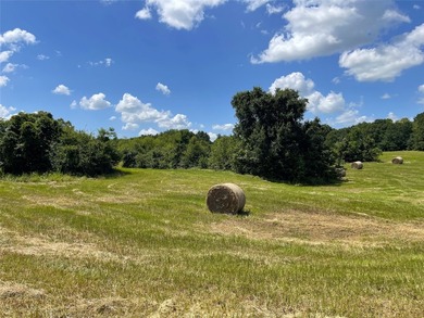 Approx. 18 acres near Donie with lots of road frontage on Hwy - photo 16