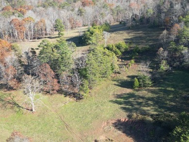 Beautiful rolling farm. This land has it all with its rolling - photo 17