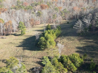 Beautiful rolling farm. This land has it all with its rolling - photo 18