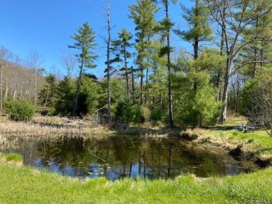 5.10 Acres with Private Pond - Well and Septic - photo 7