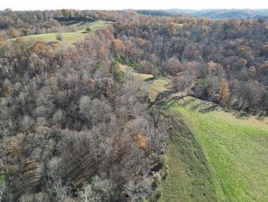 Beautiful rolling farm. This land has it all with its rolling - photo 23