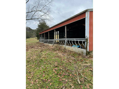 Beautiful rolling farm. This land has it all with its rolling - photo 26