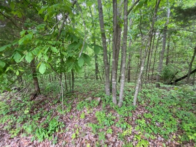 Lake Area Lots Near Twin Coves - photo 8
