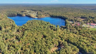 5.10 Acres with Private Pond - Well and Septic - photo 8