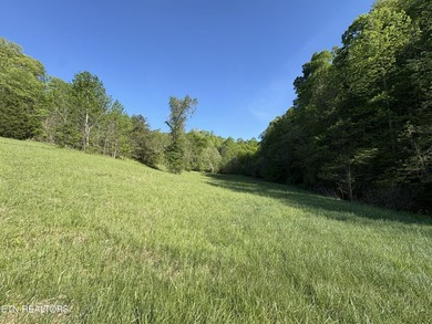 Want an affordable lakefront lot with beautiful panoramic views - photo 11