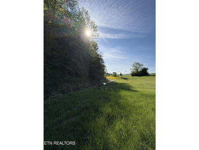 Want an affordable lakefront lot with beautiful panoramic views - photo 12