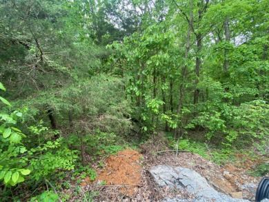 Lake Area Lots Near Twin Coves - photo 7