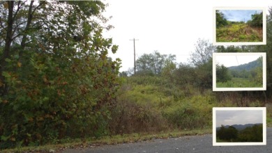 Lake Lot For Sale in Whiteville, Tennessee