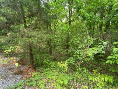 Lake Area Lots Near Twin Coves - Lake Lot For Sale in Clarkson, Kentucky