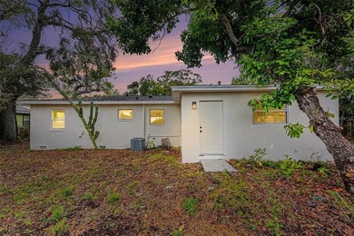 HUGE PRICE REDUCTION on this Beautifully Updated St. Petersburg - photo 3